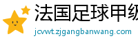 法国足球甲级联赛